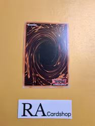 Libromancer Doombroker Common MP23-EN047 1st Edition 25th Anniversary Tin: Dueling Heroes Mega Pack MP23 Yu-Gi-Oh