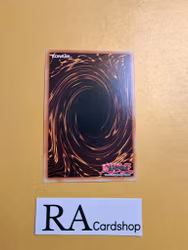 Libromancer Realized Common MP23-EN113 1st Edition 25th Anniversary Tin: Dueling Heroes Mega Pack MP23 Yu-Gi-Oh