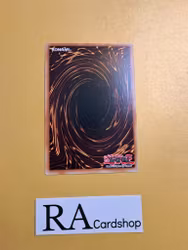 XX-Clusion Common MP23-EN109 1st Edition 25th Anniversary Tin: Dueling Heroes Mega Pack MP23 Yu-Gi-Oh