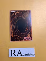 Ninjitsu Art of Dancing Leaves Common MP23-EN212 1st Edition 25th Anniversary Tin: Dueling Heroes Mega Pack MP23 Yu-Gi-Oh