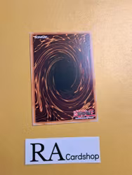 Wightbaking Common MP22-EN021 1st Edition Tin of the Pharaohs Gods 2022 MP22 Yu-Gi-Oh