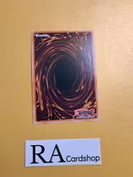 Abyss Keeper Ultra Rare MP22-EN234 1st Edition Tin of the Pharaohs Gods 2022 MP22 Yu-Gi-Oh