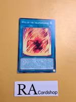 Will of the Salamangreat Common LD10-EN049 Legendary Duelists: Soulburning Volcano LD10 Yu-Gi-Oh