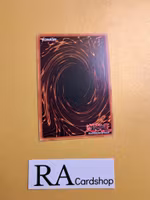 Master Diploman Common DAMA-EN026 1st Edititon Dawn of Majesty DAMA Yu-Gi-Oh