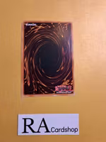 Sinful Spoils of Doom - Rciela Common AGOV-EN055 1st Edition Age of Overlord 2020 AGOV Yu-Gi-Oh