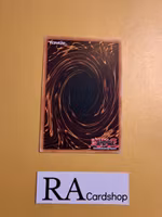 Prendulum Evolution Common AGOV-EN047 1st Edition Age of Overlord 2020 AGOV Yu-Gi-Oh