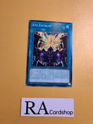 XYZ Entrust Common AGOV-EN051 1st Edition Age of Overlord 2020 AGOV Yu-Gi-Oh