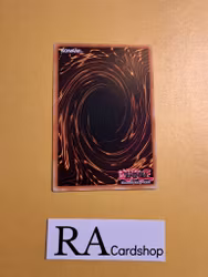 XYZ Entrust Common AGOV-EN051 1st Edition Age of Overlord 2020 AGOV Yu-Gi-Oh