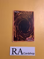 Realm Eulogy Common AGOV-EN053 1st Edition Age of Overlord 2020 AGOV Yu-Gi-Oh