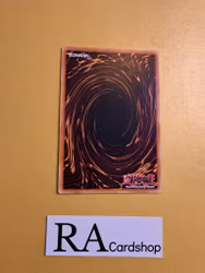 Realm Eulogy Common AGOV-EN053 1st Edition Age of Overlord 2020 AGOV Yu-Gi-Oh