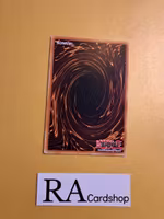 Stars Align Above the Shrine Common AGOV-EN061 1st Edition Age of Overlord 2020 AGOV Yu-Gi-Oh