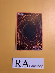 Ogdoadic Daybreak Common AGOV-EN063 1st Edition Age of Overlord 2020 AGOV Yu-Gi-Oh