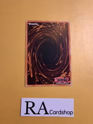 Angelicas Angelic Ring Common AGOV-EN065 1st Edition Age of Overlord 2020 AGOV Yu-Gi-Oh