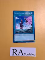 The immortal Bushi Mourns the Mortal Body Common AGOV-EN067 1st Edition Age of Overlord 2020 AGOV Yu-Gi-Oh