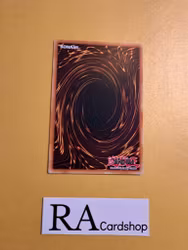 The immortal Bushi Mourns the Mortal Body Common AGOV-EN067 1st Edition Age of Overlord 2020 AGOV Yu-Gi-Oh