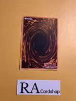 Soul of the Supreme Celestial King Common AGOV-EN069 1st Edition Age of Overlord 2020 AGOV Yu-Gi-Oh