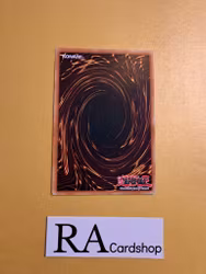 Full-Armored XYZ Common AGOV-EN071 1st Edition Age of Overlord 2020 AGOV Yu-Gi-Oh