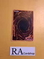 Pitknight Filly Common AGOV-EN084 1st Edition Age of Overlord 2020 AGOV Yu-Gi-Oh