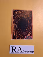 Wattsychic Fighting Porter Common AGOV-EN085 1st Edition Age of Overlord 2020 AGOV Yu-Gi-Oh