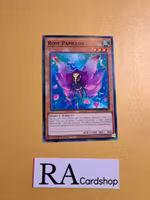 Rose Papillion Common AGOV-EN093 1st Edition Age of Overlord 2020 AGOV Yu-Gi-Oh