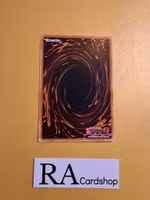 Rose Papillion Common AGOV-EN093 1st Edition Age of Overlord 2020 AGOV Yu-Gi-Oh