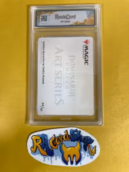 Dominaria United Art Cards 20 Vodalian Hexcatcher Magic The Gathering Graderad 8 Rauk Card