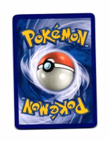 Nuzleaf Common 75/111 Rising Rivals Pokemon