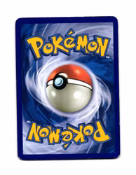 Nidorino Common 74/111 Rising Rivals Pokemon