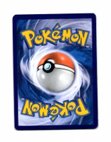 Pancham Common 59/111 Furious Fist Pokemon