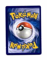 Scraggy Common 66/111 Furious Fist Pokemon