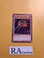 Ibicella Lutea Rare VASM-EN052 1st Edition Valiant Smashers VASM Yu-Gi-Oh
