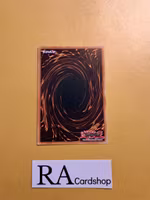 Ibicella Lutea Rare VASM-EN052 1st Edition Valiant Smashers VASM Yu-Gi-Oh