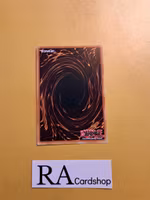 Call of the Haunted Rare VASM-EN059 1st Edition Valiant Smashers VASM Yu-Gi-Oh