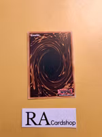 Abominable Unchained Soul Rare VASM-EN051 1st Edition Valiant Smashers VASM Yu-Gi-Oh