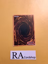 Abominable Unchained Soul Rare VASM-EN051 1st Edition Valiant Smashers VASM Yu-Gi-Oh