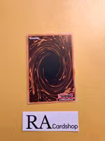 Flock Together Common PHNI-EN072 1st Edititon Phantom Nightmare PHNI Yu-Gi-Oh