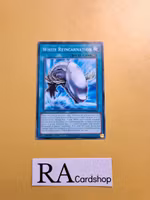 White Reincarnation Common PHNI-EN058 1st Edititon Phantom Nightmare PHNI Yu-Gi-Oh
