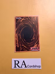 White Reincarnation Common PHNI-EN058 1st Edititon Phantom Nightmare PHNI Yu-Gi-Oh