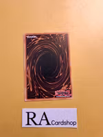 Sorcerer of Sebek Common PHNI-EN053 1st Edititon Phantom Nightmare PHNI Yu-Gi-Oh