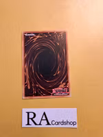 Royal Rhino With Deceitful Dice Common PHNI-EN036 1st Edititon Phantom Nightmare PHNI Yu-Gi-Oh