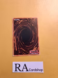 Royal Rhino With Deceitful Dice Common PHNI-EN036 1st Edititon Phantom Nightmare PHNI Yu-Gi-Oh