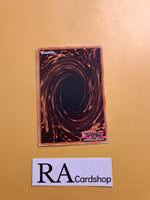 Magmacho Dragon Common PHNI-EN025 1st Edititon Phantom Nightmare PHNI Yu-Gi-Oh