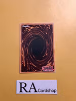 Conbirdable Common PHNI-EN084 1st Edititon Phantom Nightmare PHNI Yu-Gi-Oh