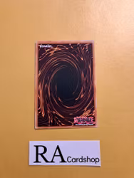 Conbirdable Common PHNI-EN084 1st Edititon Phantom Nightmare PHNI Yu-Gi-Oh