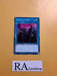 Share the Pain Common SBTK-EN032 1st Edititon Speed Duel: Trials of the Kingdom SBTK Yu-Gi-Oh