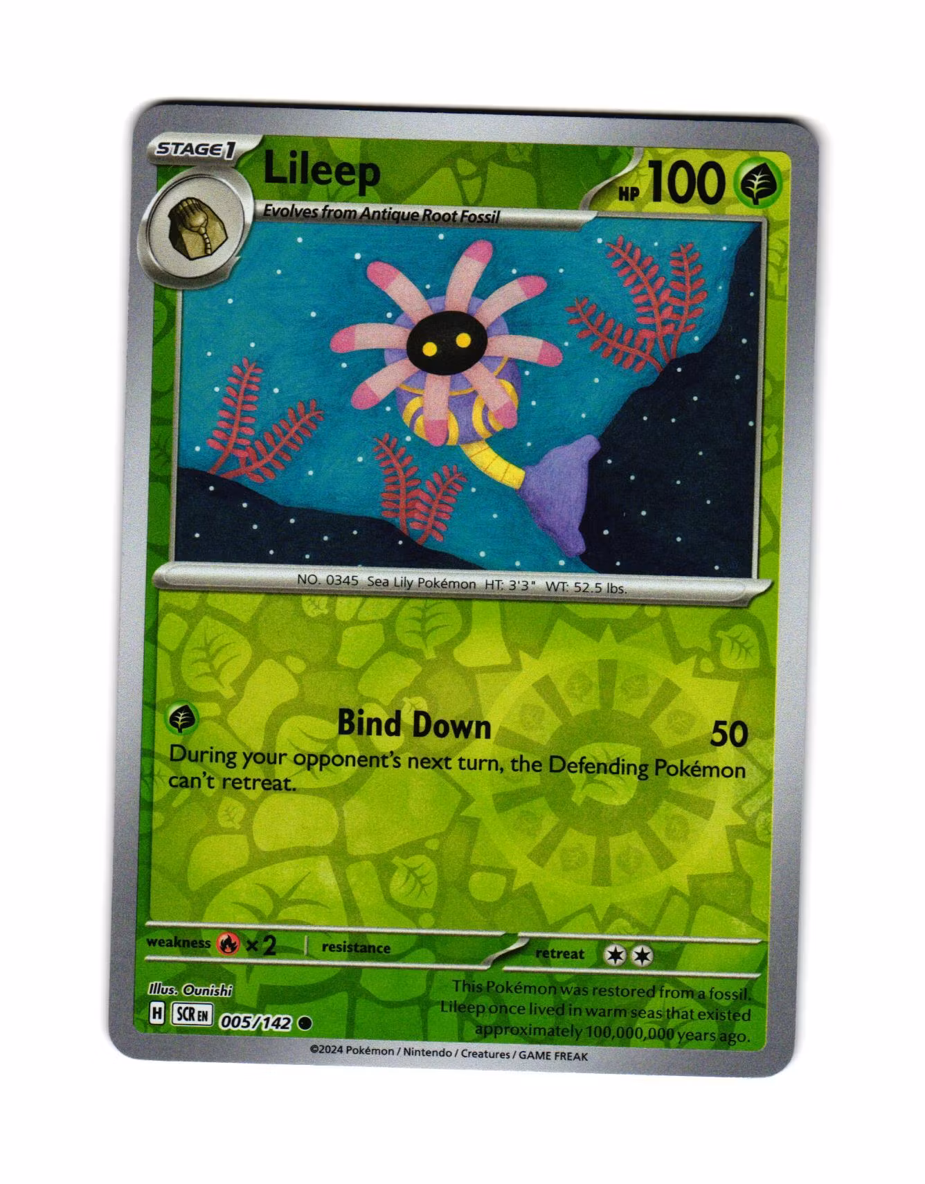 Lileep Reverse Holo Common 005/142 Stellar Crown Pokemon