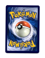 Payapa Berry Uncommon 141/142 Stellar Crown Pokemon