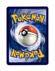 Raboot Common 027/142 Stellar Crown Pokemon