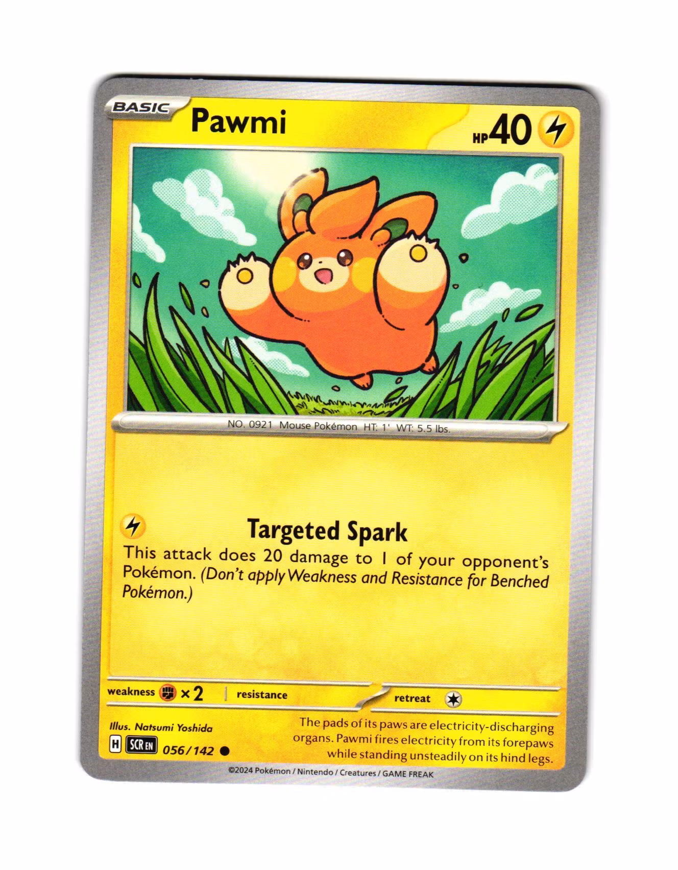Pawmi Common 056/142 Stellar Crown Pokemon