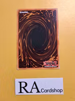 Cursed Bride Doll Common AGOV-EN026 1st Edition Age of Overlord 2020 AGOV Yu-Gi-Oh